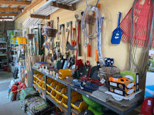 Galerija Koletars slika 4